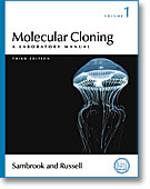 Molecular Cloning cover